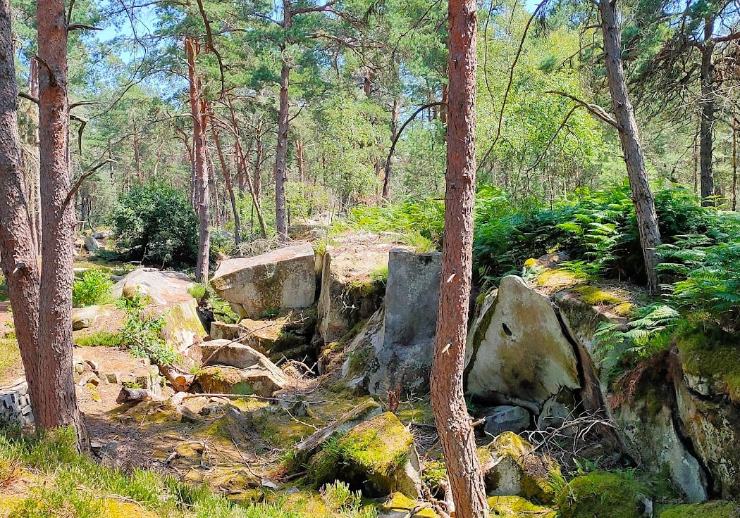 Panorama sur Bois le Roi et Melun 3